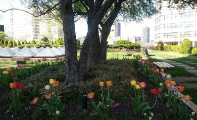 30B is a sprawling renovated apt which sits high in the sky and