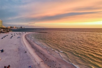 Under contract-accepting backup offers. Experience true