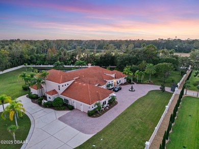 Welcome to 602 Tomoka Avenue - a gated, custom-built estate