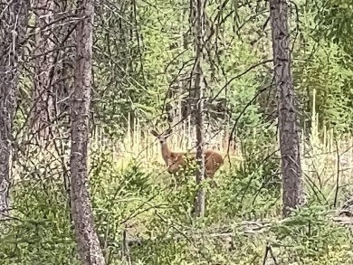 Amazing 180 degree views from this hilltop retreat! Privacy is