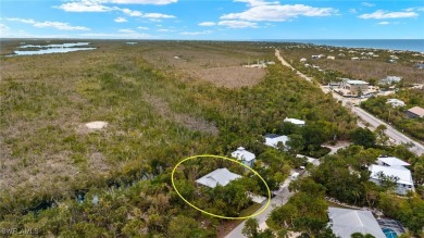 THIS HOUSE HAS IT ALL INCLUDING AN ELEVATOR! Well maintained