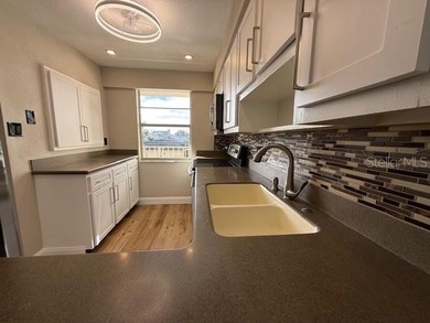 Million dollar view overlooking the Winter Haven Chain of Lakes