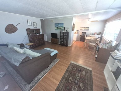 Amazingly Elegant, Fully Remodeled Turnkey Home - Eldorado