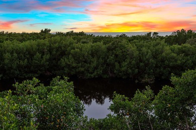 Few have possessed the passion to create a home resort oasis