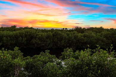 Few have possessed the passion to create a home resort oasis