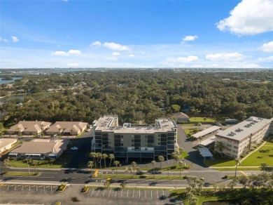 Welcome to The Palms at Long Bayou - a residence that embodies