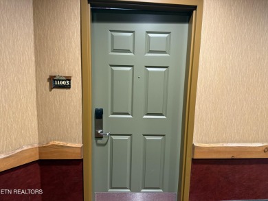 Incredible Investment Opportunity at Wilderness at the Smokies