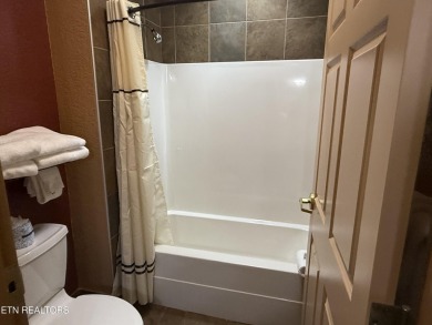 Incredible Investment Opportunity at Wilderness at the Smokies