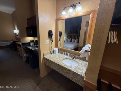 Incredible Investment Opportunity at Wilderness at the Smokies