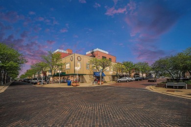 Welcome to your dream condo in the heart of downtown St. Joseph;