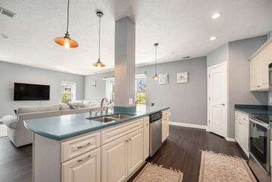 Welcome to your dream condo in the heart of downtown St. Joseph;