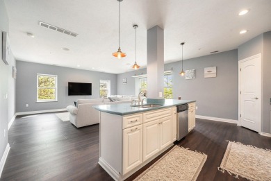 Welcome to your dream condo in the heart of downtown St. Joseph;