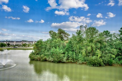 Welcome to the Waterway Community at Carolina Yacht Landing!