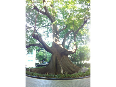 Bright and spacious unit with stunning views over the river