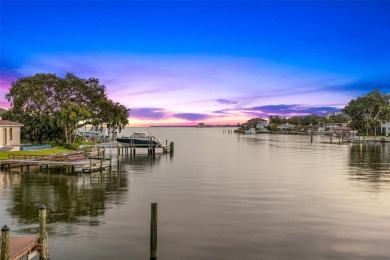 Breathtaking Waterfront Living on Iconic Brightwaters Blvd NE in