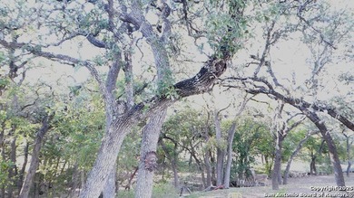 This peaceful lake house retreat is perfect for full-time lake