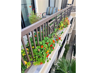 Penthouse Condo in Brentwood - A Rare Blend of Luxury, Privacy