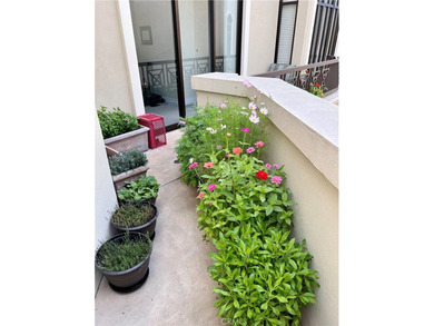 Penthouse Condo in Brentwood - A Rare Blend of Luxury, Privacy