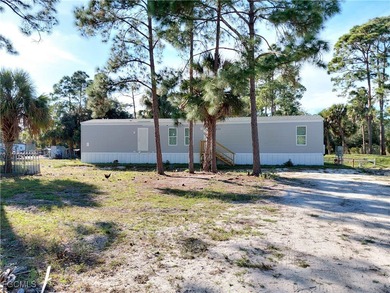 NEW 2022 SWMH CHAMPION 14'X68', 3 bedrooms and 2 bathrooms. This