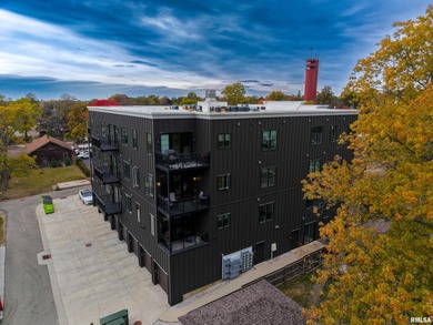 Live in the heart of vibrant Peoria Heights in this beautifully