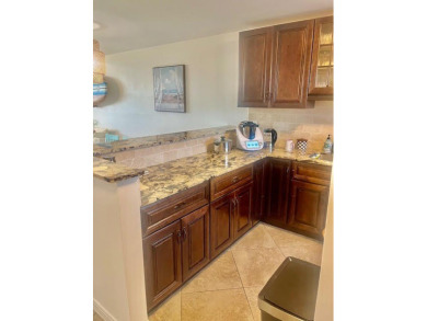 Don't miss This beautifully updated 2/2 penthouse condo