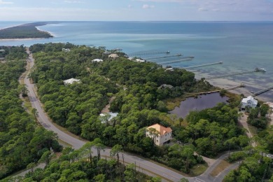 *Bourbon Bay* Well-maintained, St George Island Plantation home