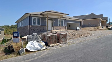 BRAND NEW CONSTRUCTED HOME with golf course living at its BEST