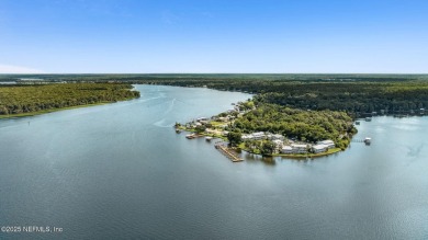 ST. JOHNS RIVER APPEAL! Nestled on the picturesque St. Johns