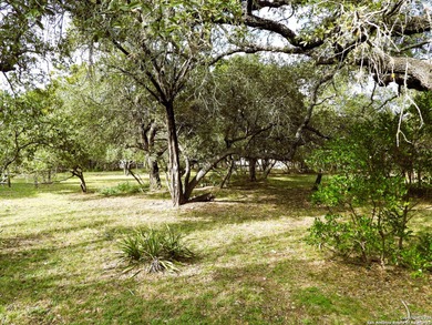 Lovely well maintained Palm Harbor home on 2.48 park-like acres
