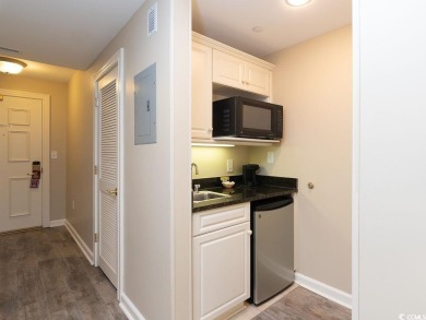 Fully furnished oveanview 3 bedroom 3 bath with upgraded