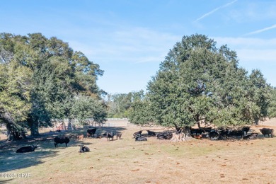 91+/- Acres - Active Cattle Farm - Greenwood, FL. Welcome to a