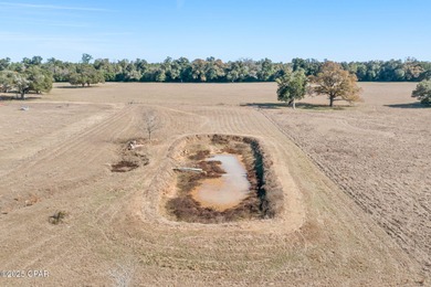 91+/- Acres - Active Cattle Farm - Greenwood, FL. Welcome to a