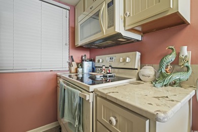 Welcome to your oceanfront, luxury penthouse condo!  There are