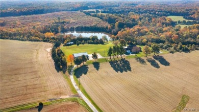 Historically known as Mountain View farm. 440.38 scenic, rolling