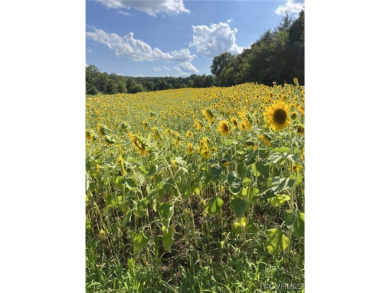 Historically known as Mountain View farm. 440.38 scenic, rolling