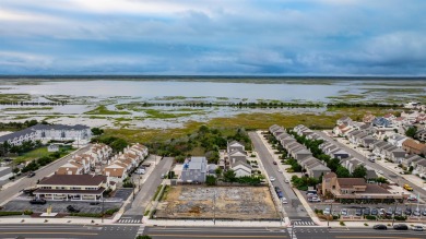 Stunning new construction townhouse in the beautiful, highly