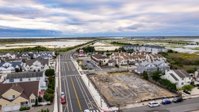 Stunning new construction townhouse in the beautiful, highly