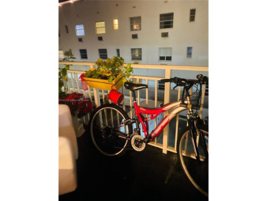 Step into this stunning 1-bedroom 1-bathroom ocean view condo