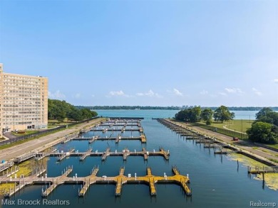 Detroit High Rise Luxury on the River: Completely Designed and