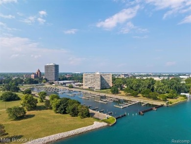 Detroit High Rise Luxury on the River: Completely Designed and