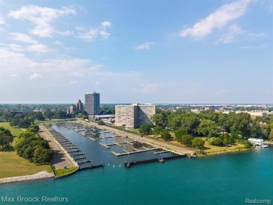 Detroit High Rise Luxury on the River: Completely Designed and