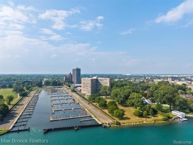 Detroit High Rise Luxury on the River: Completely Designed and