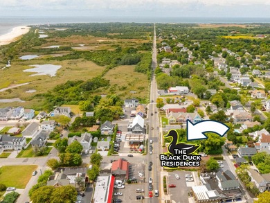 Black Duck Landing & Black Duck Nest. Elevated Luxury Living in