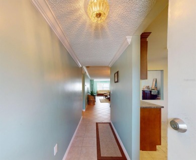 BEAUTIFULLY RENOVATED 2-BEDROOM CONDO NEAR CLEARWATER BEACH