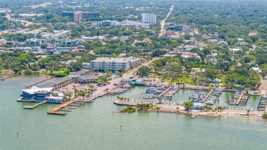 Welcome to easy living in the highly desirable 55+ community of