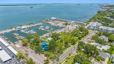 Welcome to easy living in the highly desirable 55+ community of