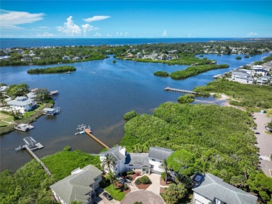 Discover the pinnacle of waterfront living in this extraordinary