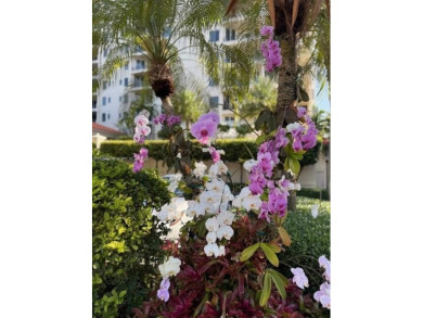 Wonderful condo in Exclusive guard-gated community of Deering