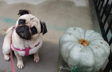 Welcome to the BRAND NEW RENOVATION of 30A located at the highly