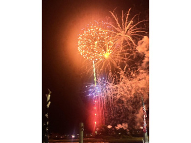 Fully Renovated Coastal Retreat in Carolina Shores - Garden